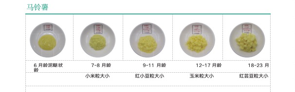 6-23 月龄婴幼儿辅食质地指导食物模型