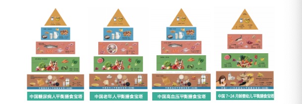 膳食宝塔模型